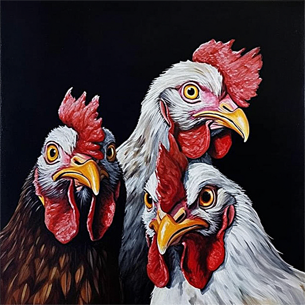 Poulet Diy Kits Acrylique Peintures Par Numéros Pour Adulte Enfant MJ1707