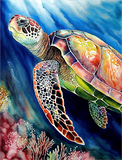 Tortue Diy Kits Peintures Par Numéros MJ1984