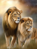 Lion Diy Kits Acrylique Peintures Par Numéros Pour Adulte Enfant MJ9230