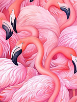 Flamant Diy Kits Acrylique Peintures Par Numéros Pour Adulte Enfant MJ9634