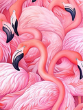 Flamant Diy Kits Acrylique Peintures Par Numéros Pour Adulte Enfant MJ9634