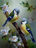 Oiseau Diy Kits Peintures Par Numéros MJ9956