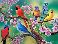 Oiseau Diy Kits Peintures Par Numéros MJ9979