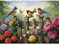 Oiseau Diy Kits Peintures Par Numéros MJ9984
