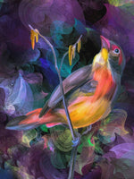 Oiseau Diy Kits Acrylique Peintures Par Numéros Pour Adulte Enfant PX765914