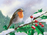 Oiseau Diy Kits Peintures Par Numéros SS1215803848