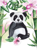 Panda Diy Kits Peintures Par Numéros SS1534427783