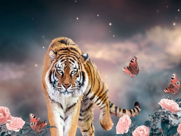 Tigre Diy Kits Peintures Par Numéros SS1681561564